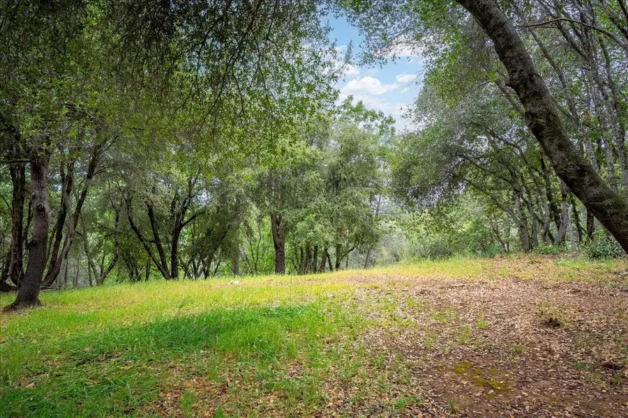 10 Acres Hollow Lane, Greenwood, CA 95635 - #3