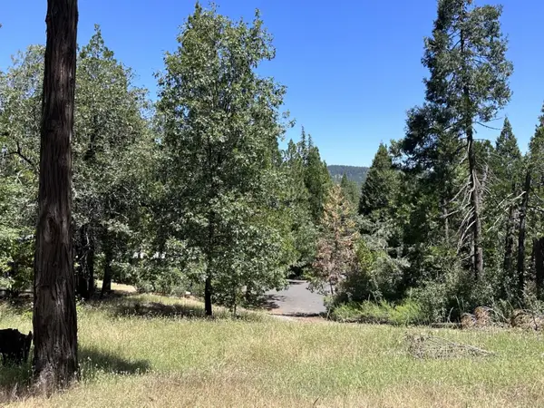 3720 Cedar Vista, Murphys, CA 95247