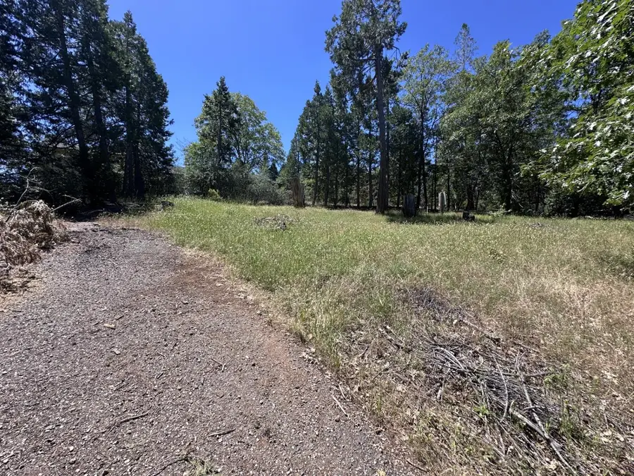 3720 Cedar Vista, Murphys, CA 95247 - #3