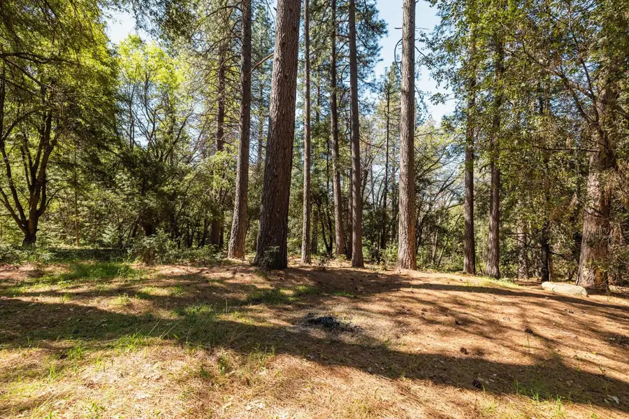 14737 Big Hill Road, Sonora, CA 95370 - #3