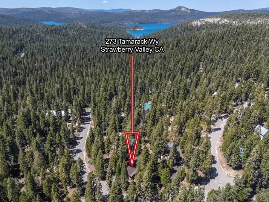 273 Tamarack Way, Little Grass Valley, CA 95981 - #2