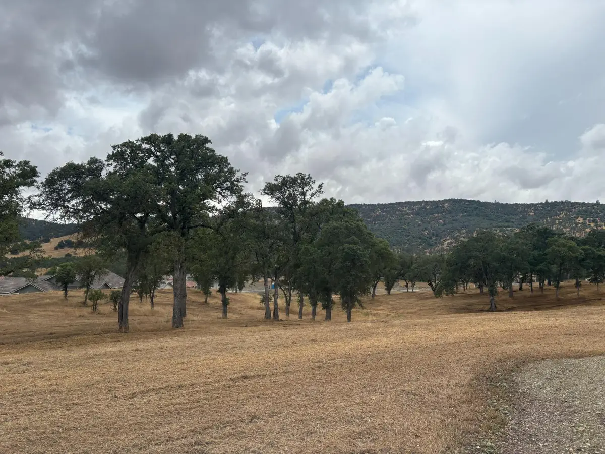 377 Hawkridge Road, Copperopolis, CA 95228 - #1
