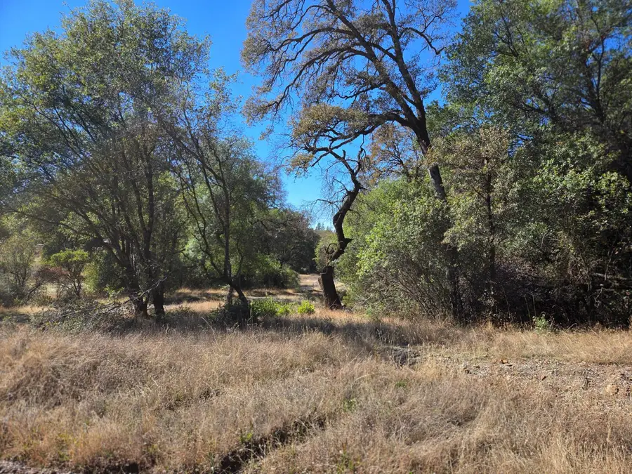 11465 Rex Reservoir Road, Rough And Ready, CA 95975 - #2