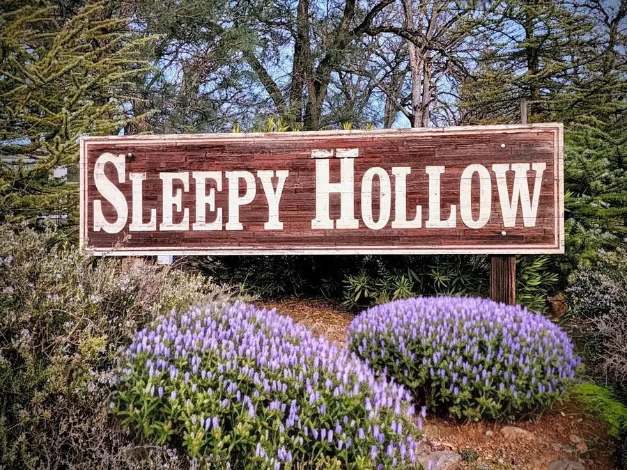 2660 Sleepy Hollow Drive, Shingle Springs, CA 95682 - #2