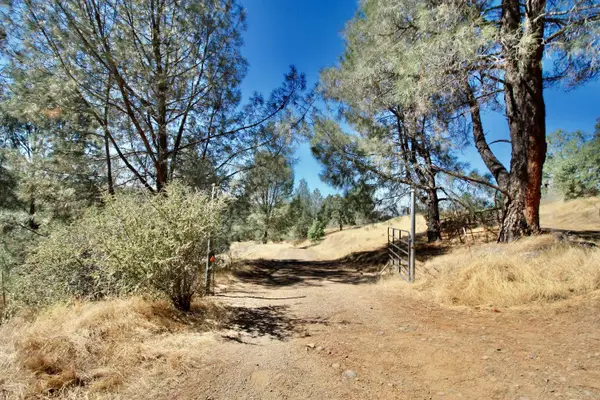 12507 Angel Wing Lane, Smartsville, CA 95977