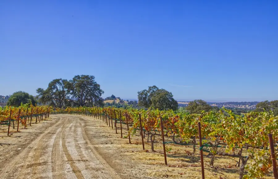 0 Veauta Road, Plymouth, CA 95669 - #2