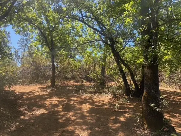 1636 Nickerson Lane, Murphys, CA 95247