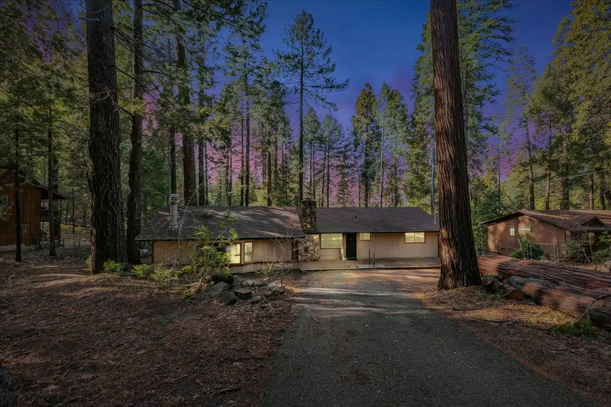 2900 Shady Lane, Pollock Pines, CA 95726 - #1
