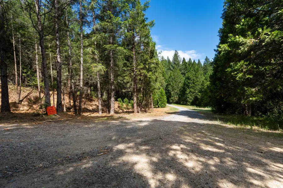 3800 Glory Hole Court, Camino, CA 95709 - #2