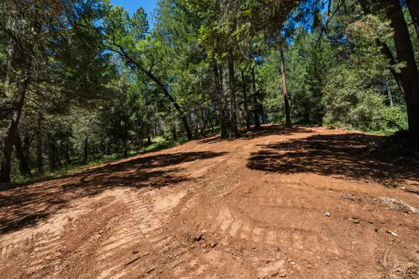 3801 Glory Hole Court, Camino, CA 95709