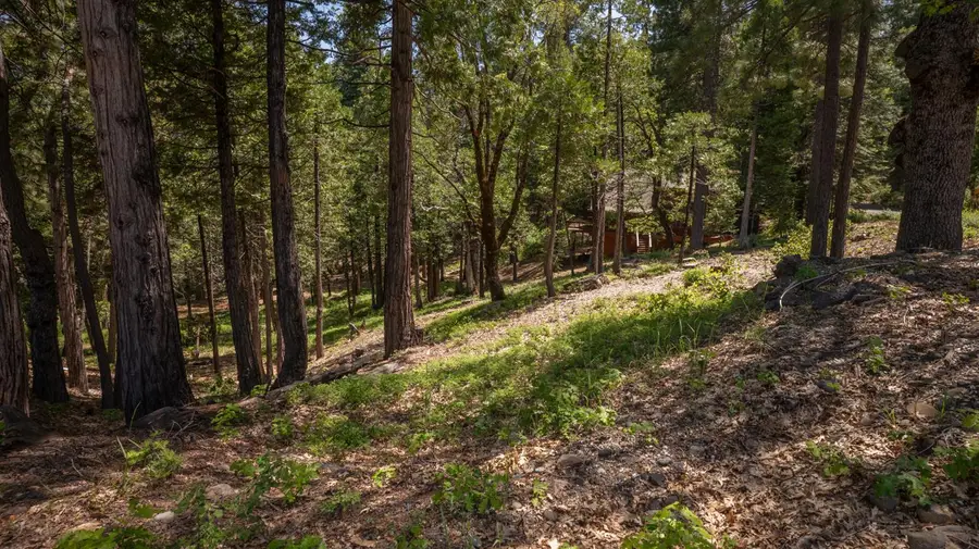 2690 Cheyenne Way, Dorrington, CA 95223 - #2