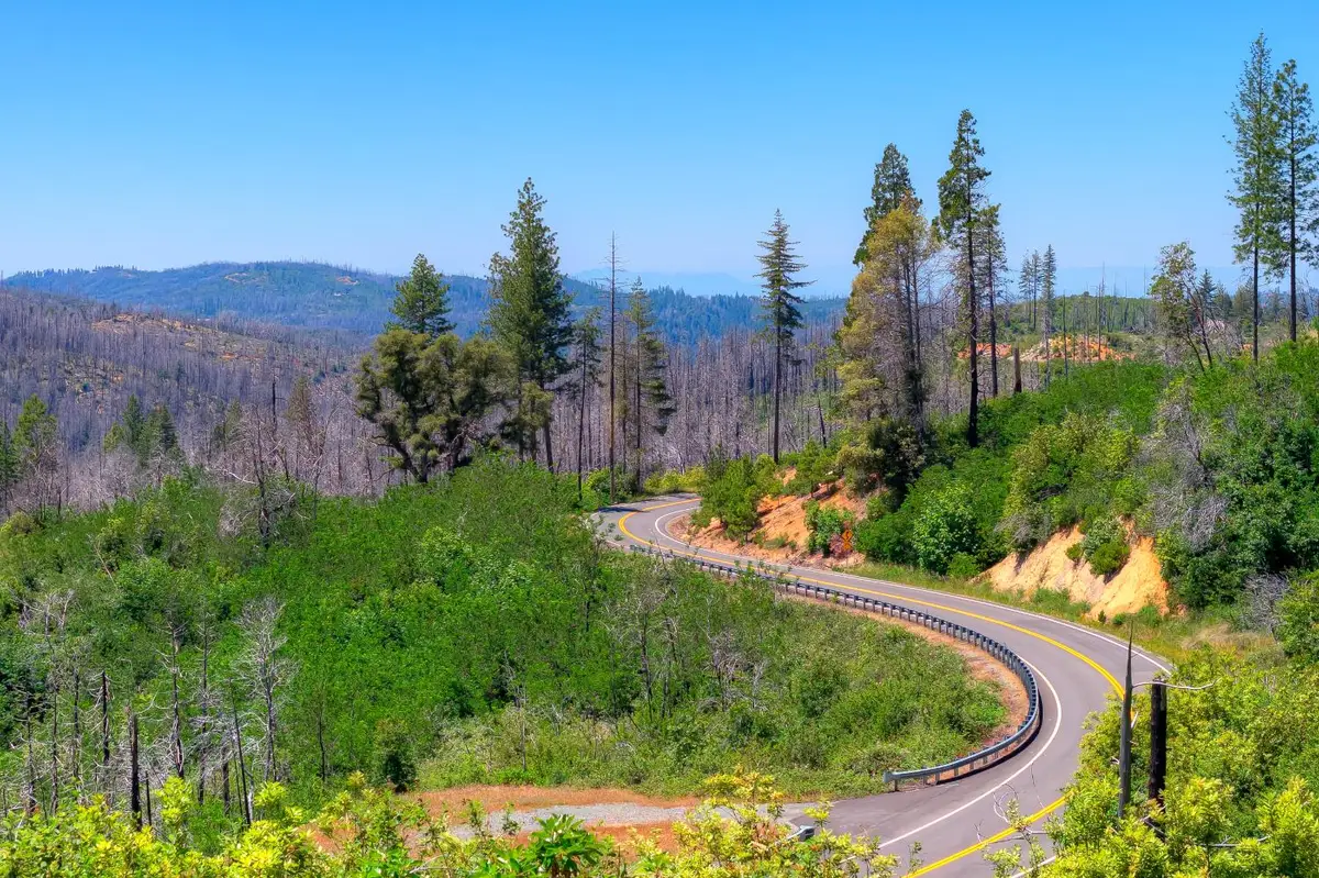 0 Oro Quincy Highway, Berry Creek, CA 95916 - #1