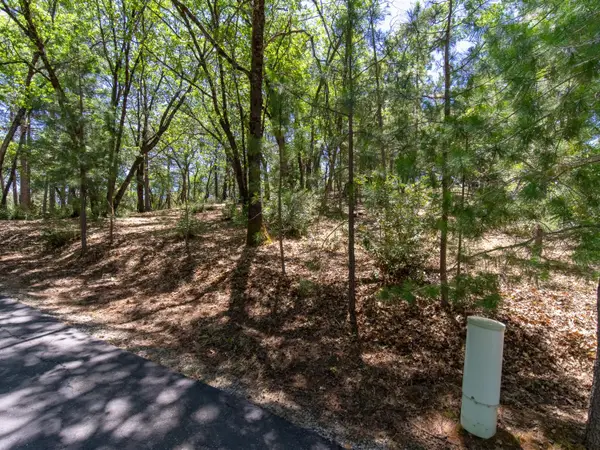 5030 Irish Oak Lane, Placerville, CA 95667