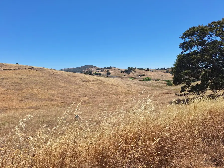 9650 Picadero Way, La Grange, CA 95329 - #3