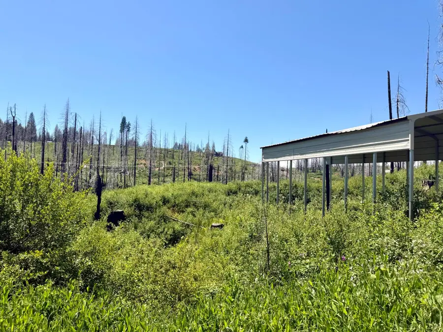 5110 Evergreen Drive, Grizzly Flats, CA 95636 - #3