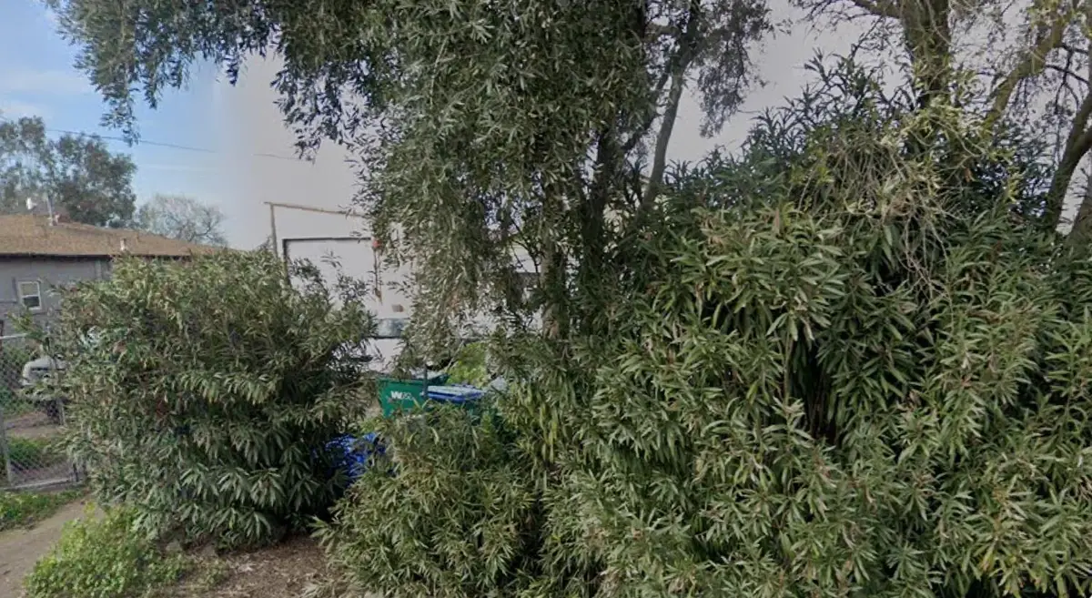 9827 S Lockhart Road, French Camp, CA 95231 - #1