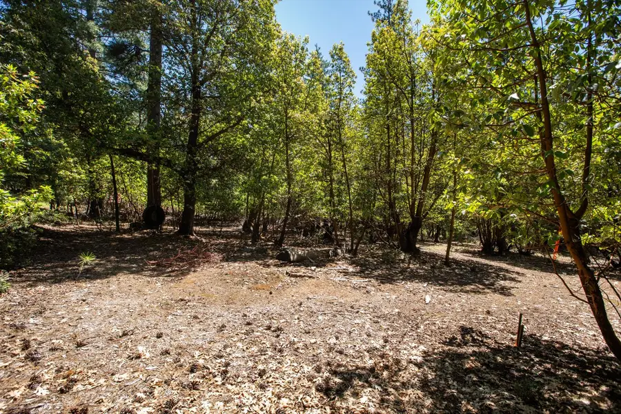 3196 Pine Cone Court, Placerville, CA 95667 - #3