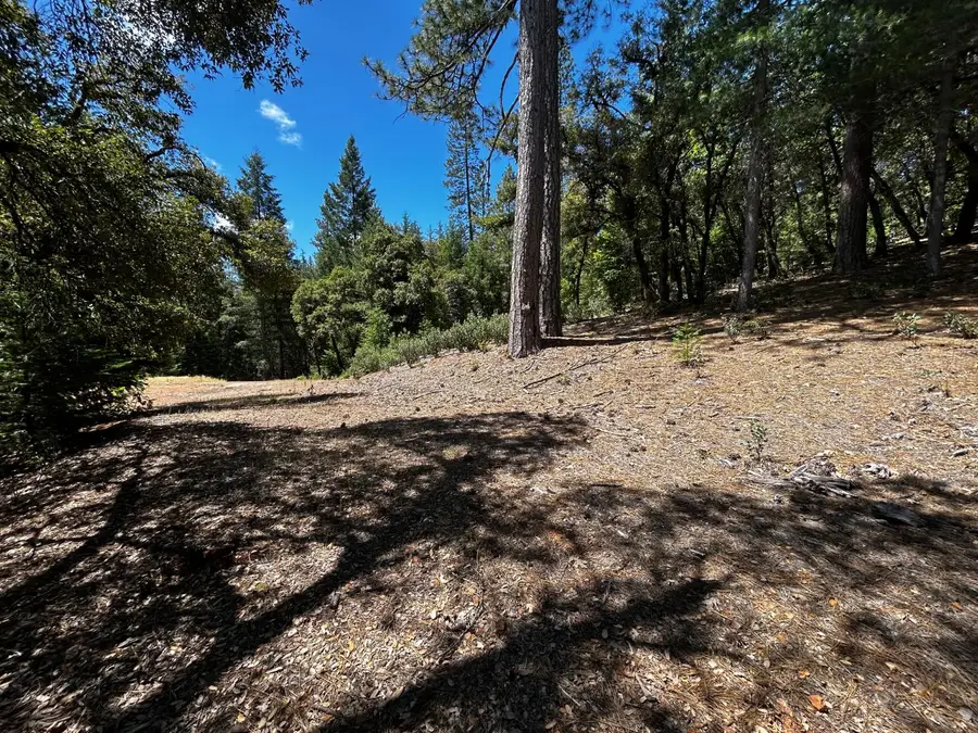 12258 Pine Cone Circle, Grass Valley, CA 95945 - #3