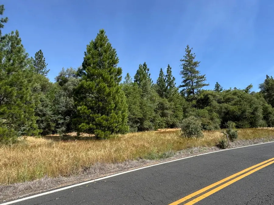 0 French Gulch Road, Murphys, CA 95247 - #2