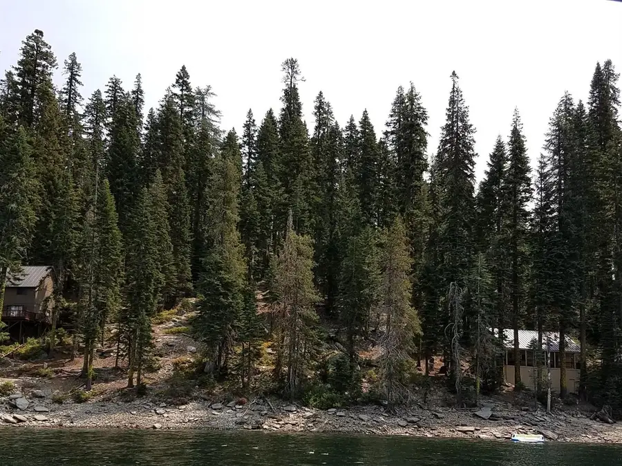 822 Mile High Road, Bucks Lake, CA 95971 - #2