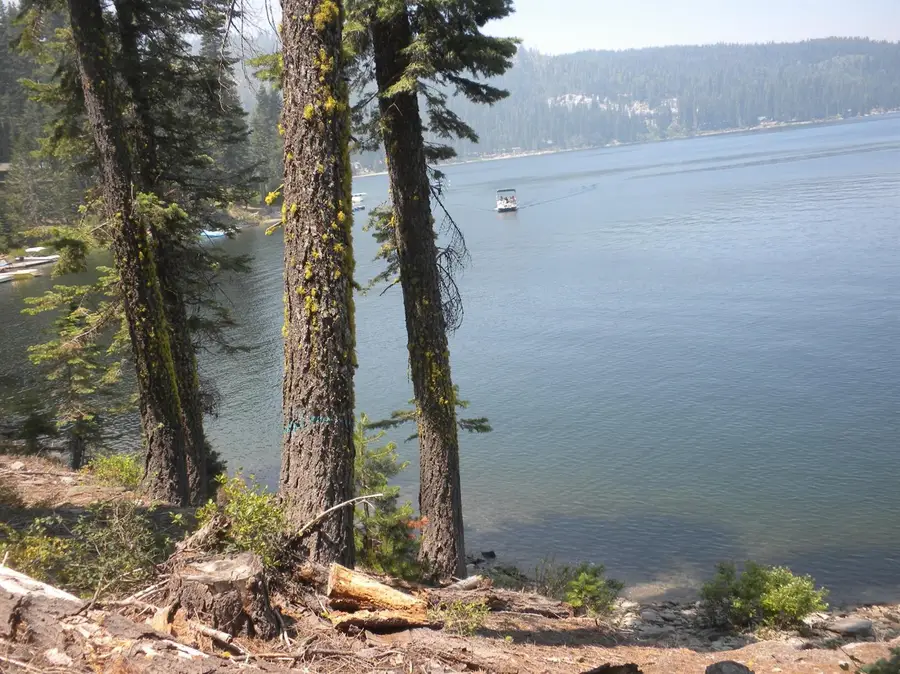822 Mile High Road, Bucks Lake, CA 95971 - #3