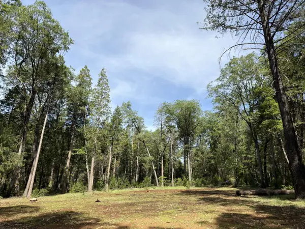 13987 Lee Lane, Nevada City, CA 95959