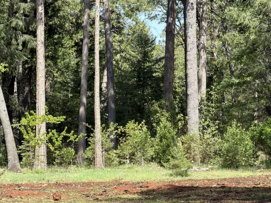 13987 Lee Lane, Nevada City, CA 95959 - #3