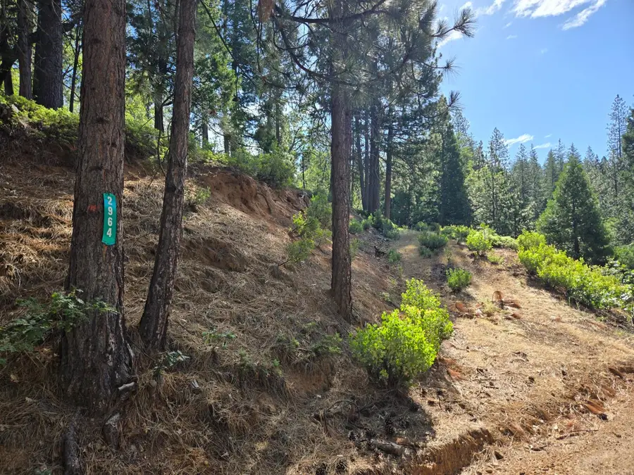 2964 Murphys Drive, Arnold, CA 95223 - #2