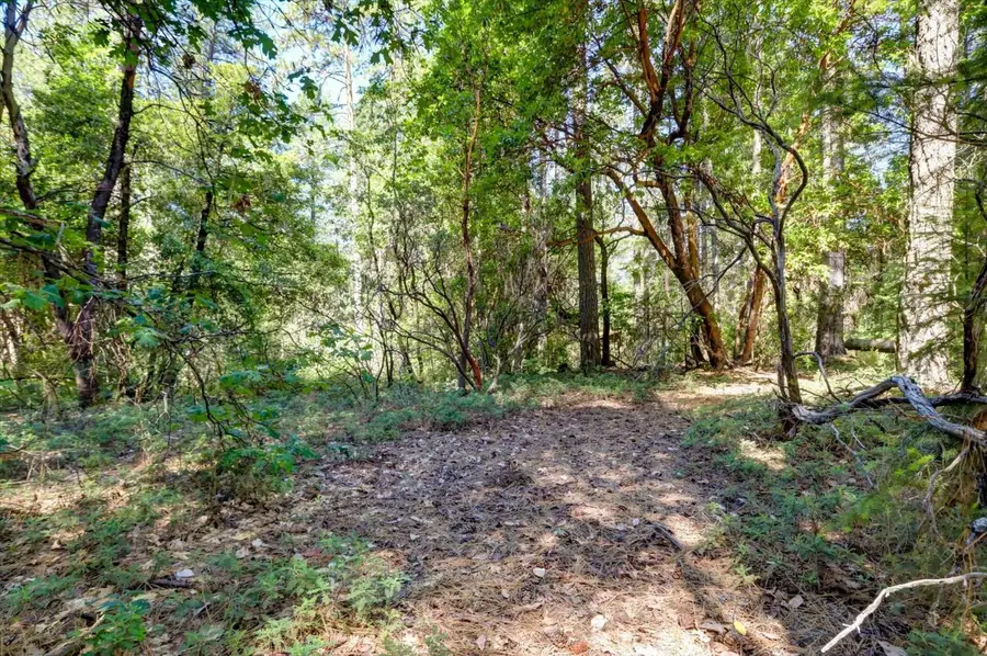 17390 Skyland Road, Nevada City, CA 95959 - #3
