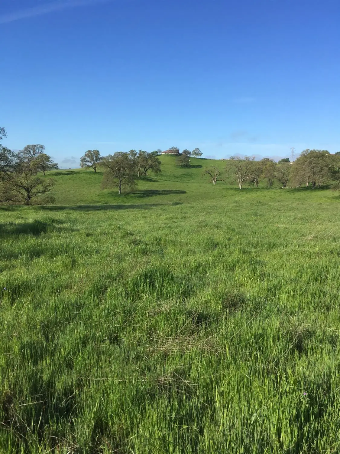 10232 Gregory Road, Valley Springs, CA 95252 - #1