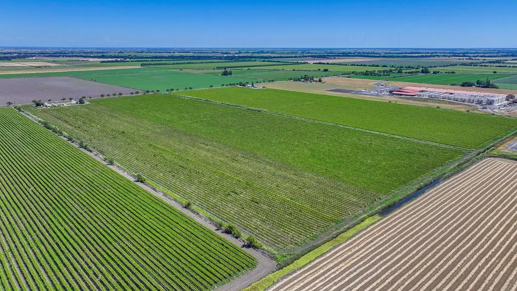 37830 Jefferson Boulevard, Clarksburg, CA 95612 - #1