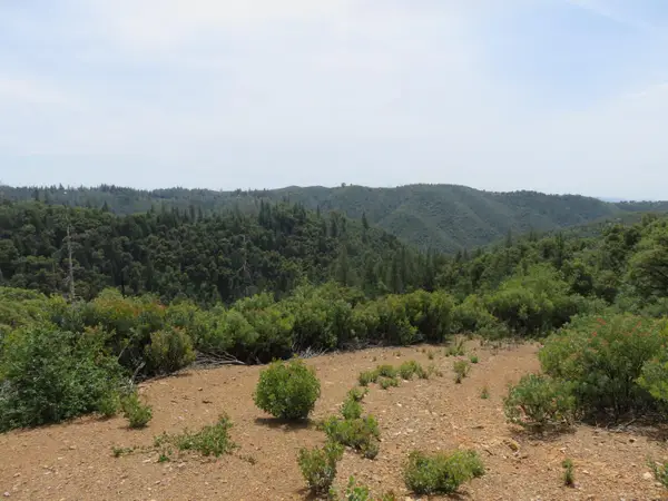 749 Blossom Lane, Mokelumne Hill, CA 95245