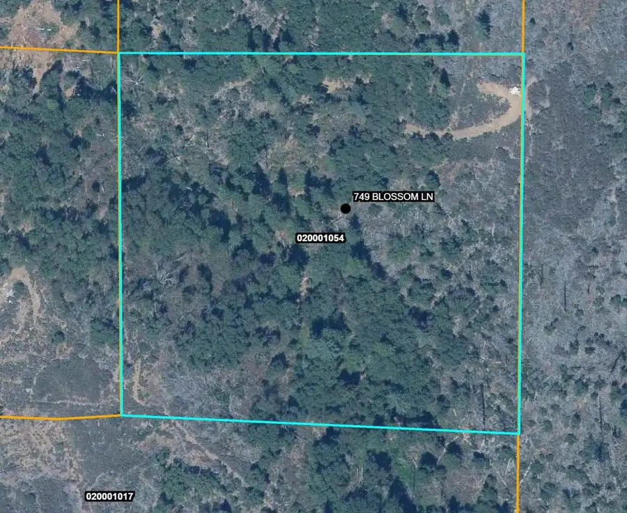 749 Blossom Lane, Mokelumne Hill, CA 95245 - #2