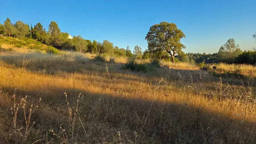 10306 Canyon Creek Lane, Penn Valley, CA 95946 - #3