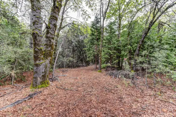 14481 Bobbie Lane, Pioneer, CA 95666