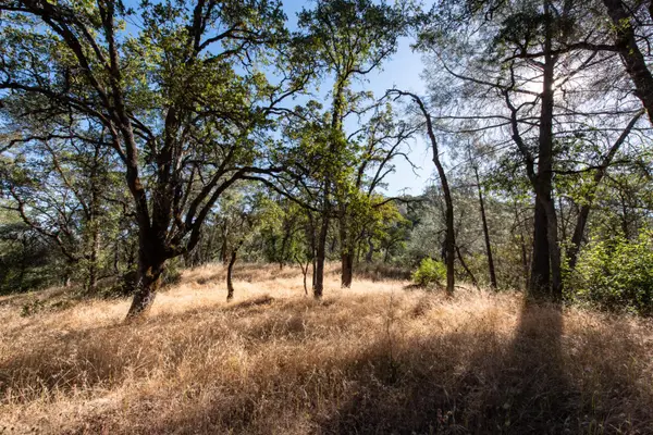 1031 Trails End Drive, Placerville, CA 95667