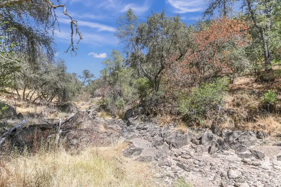 5761 Highway 4, Angels Camp, CA 95222 - #3