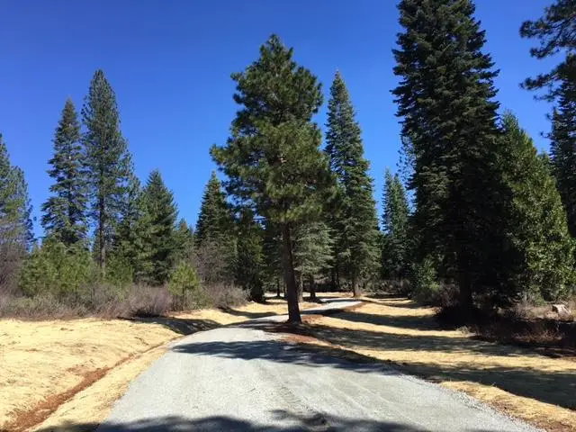 22281 Back Bone Road, Nevada City, CA 95959 - #2