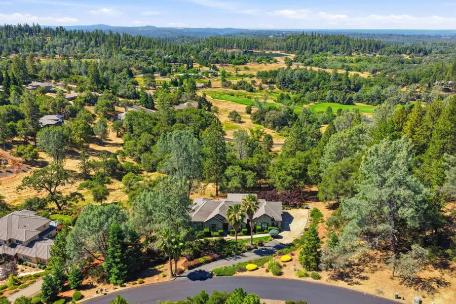 1109 Holly Leaf Lane, Meadow Vista, CA 95722 - #3