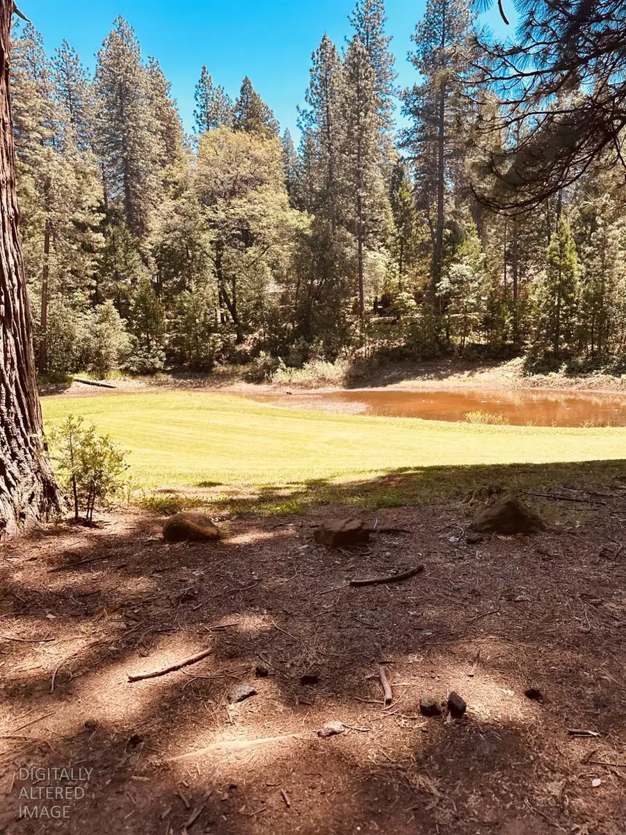 633 Forest Meadows Drive, Murphys, CA 95247 - #3