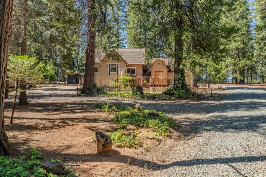 20516 E Pine Drive, Pioneer, CA 95666 - #2
