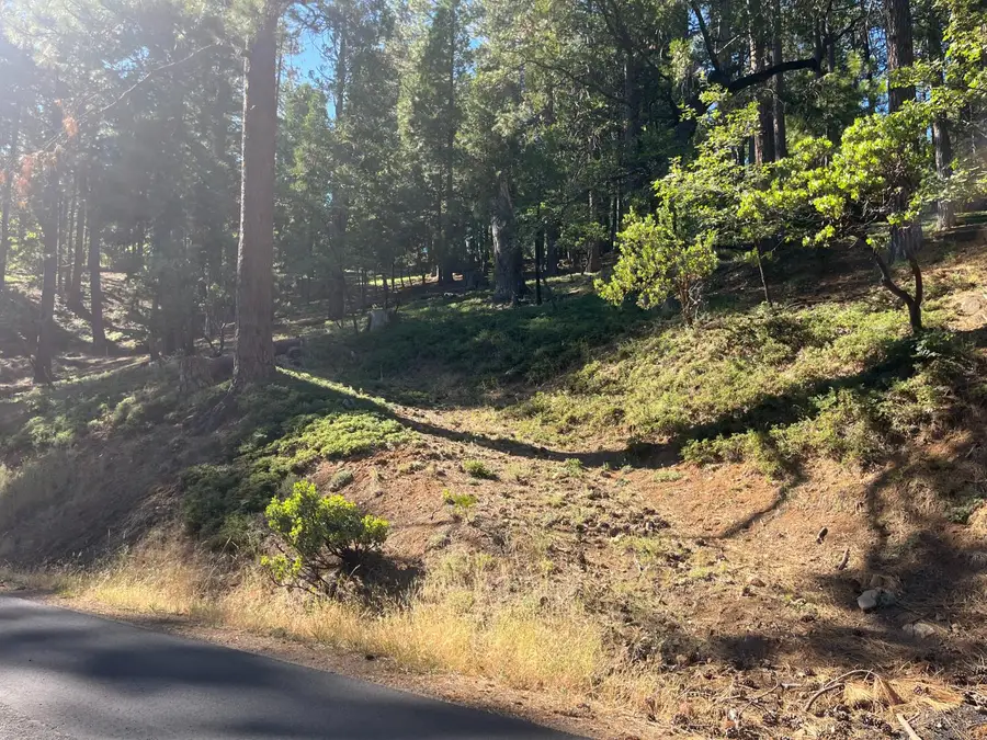 2216 Chaparral Drive, Arnold, CA 95223 - #2