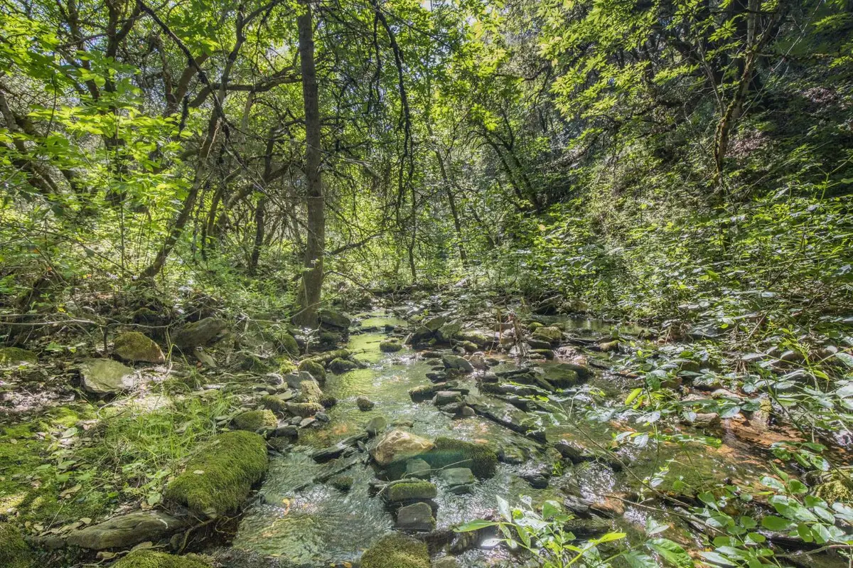 0 Ca-calaveras County, San Andreas, CA 95249 - #1
