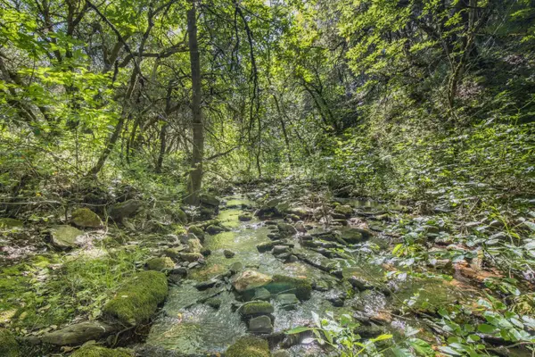 0 Ca-calaveras County, San Andreas, CA 95249