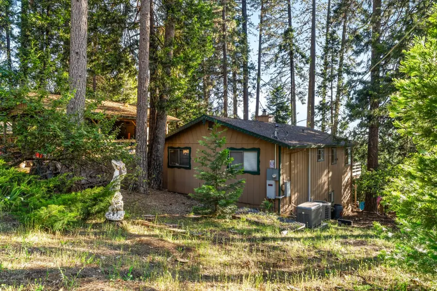 4944 Steelhead Lane, Pollock Pines, CA 95726 - #3