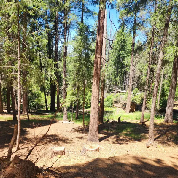 5741 Lupin Lane, Pollock Pines, CA 95726