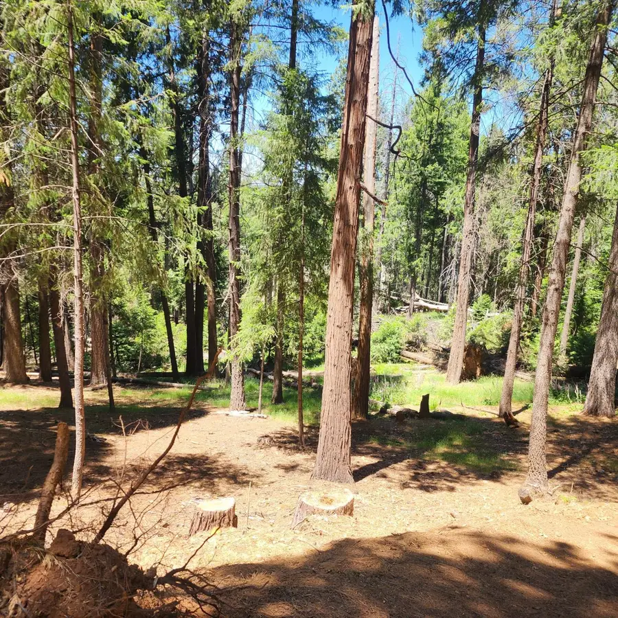 5741 Lupin Lane, Pollock Pines, CA 95726 - #2