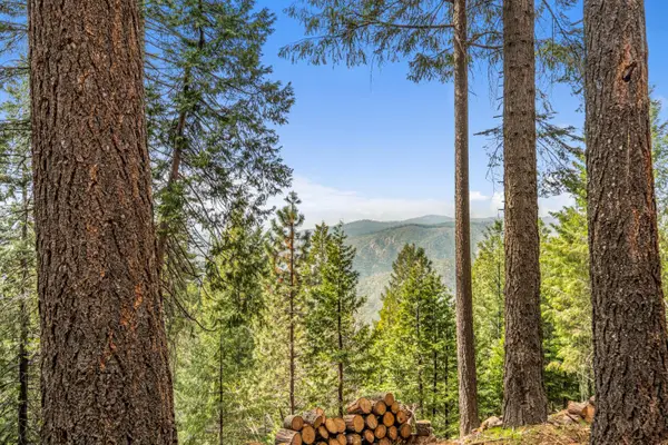301 Camelot Way, Pollock Pines, CA 95726