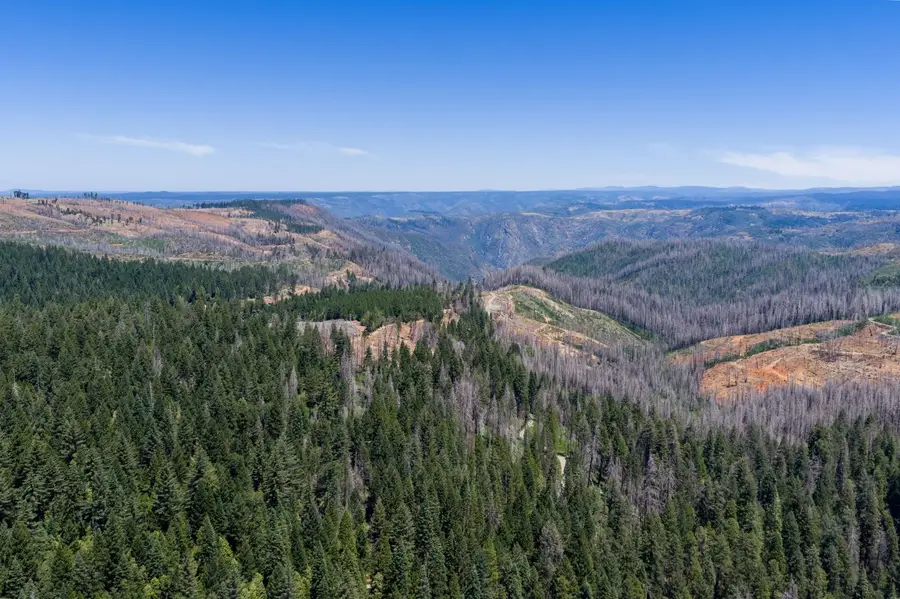 10075 White Fir Road, Georgetown, CA 95634 - #2