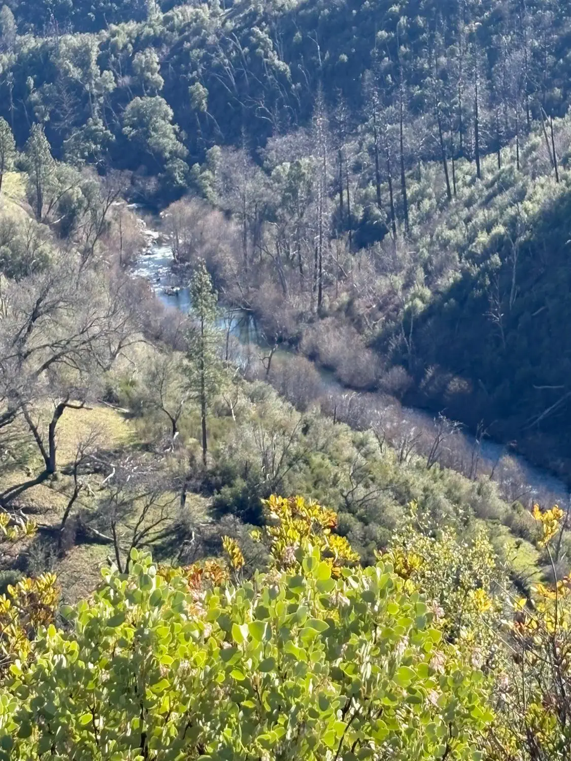 3201 Toyonberry Lane, El Dorado, CA 95623 - #1